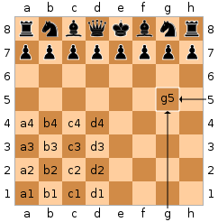 The representation of the board in a Chess Engine with TuringBot